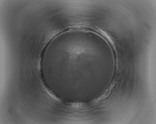 X0000111590105200907161502