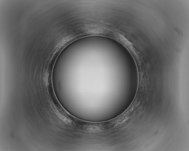 X0000111590106200907161502