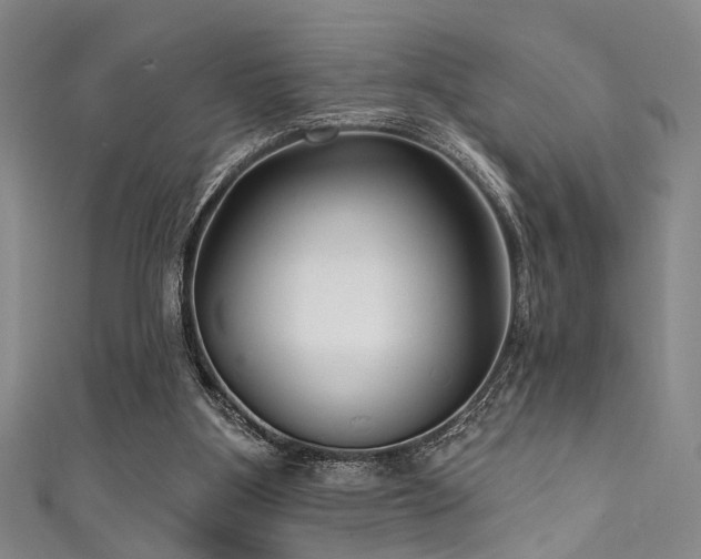 X0000111590107200907161502