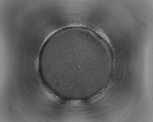 X0000111590108200907161502