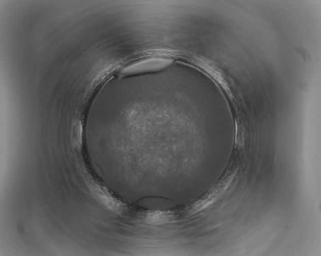 X0000111590109200907161502