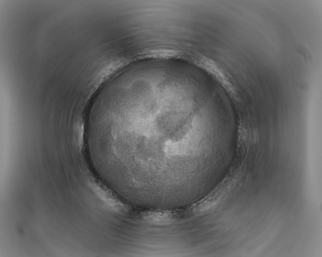 X0000111590110200907161502