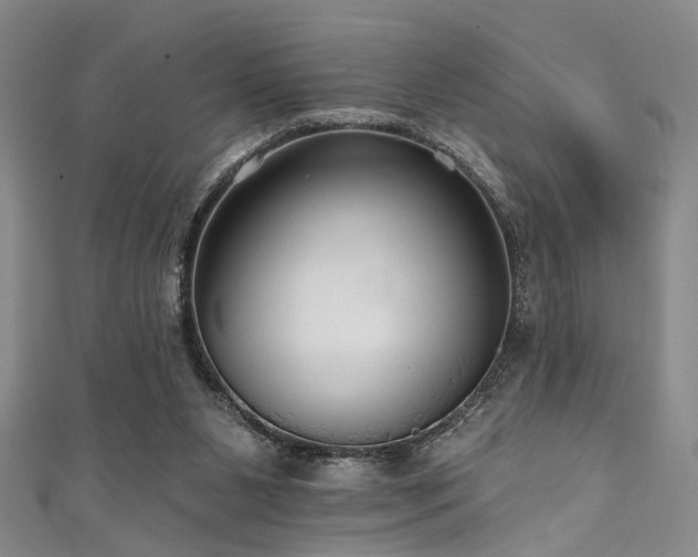 X0000111590111200907161502