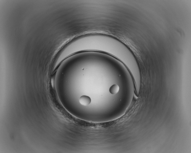 X0000111590112200907161502