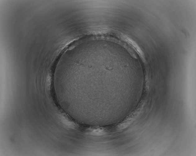 X0000111590113200907161502