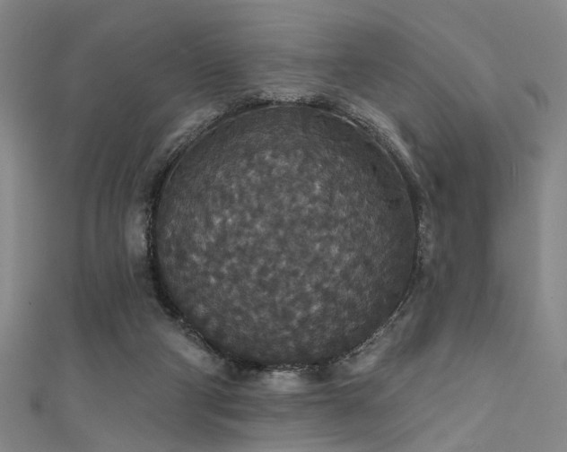 X0000111590114200907161502