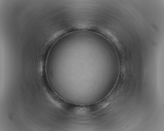 X0000111590115200907161502