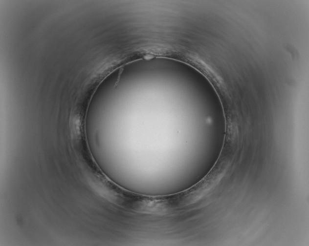 X0000111590117200907161502