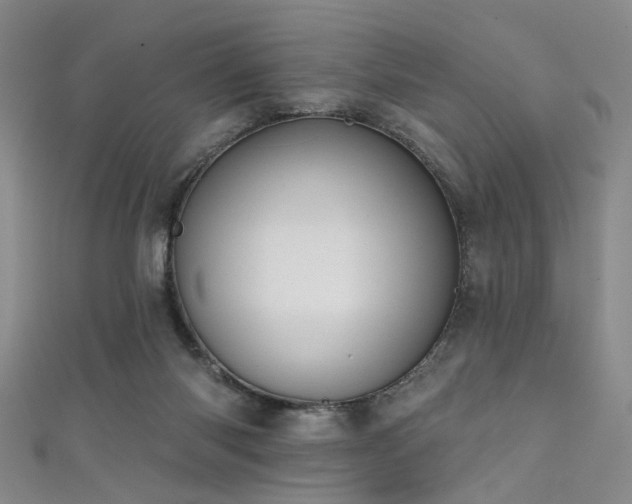 X0000111590118200907161502