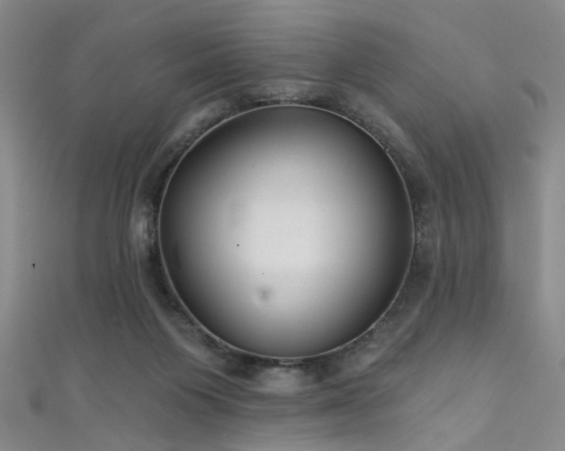 X0000111590119200907161502