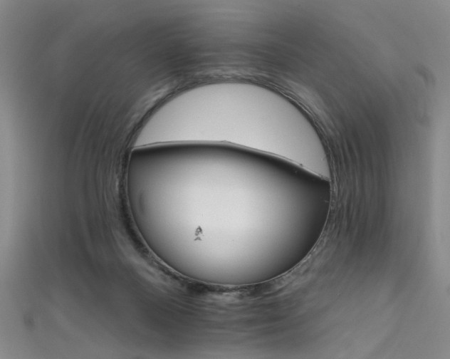 X0000111590120200907161501