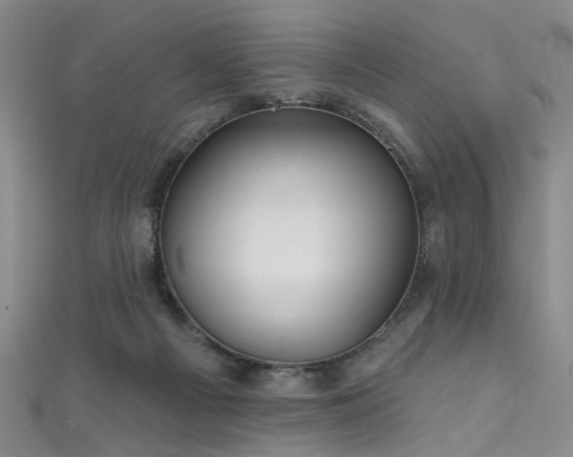 X0000111590121200907161501