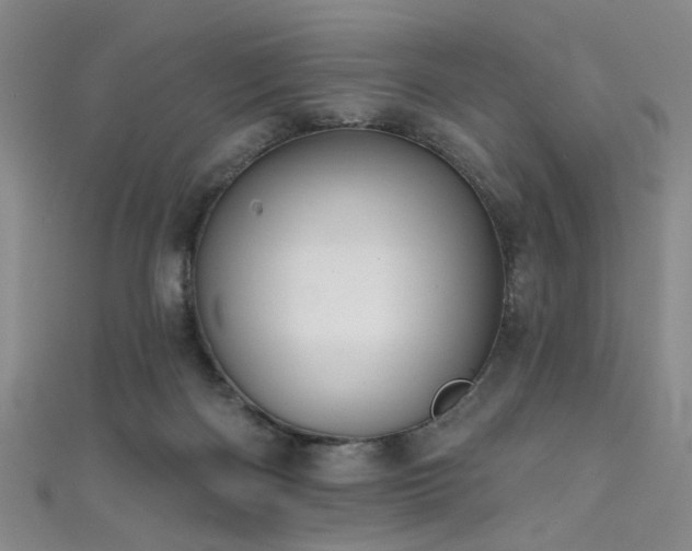 X0000111590122200907161501