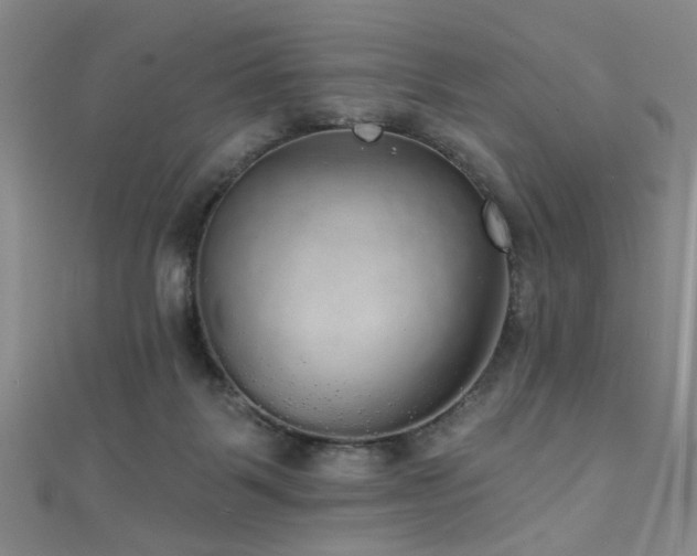 X0000111590123200907161501