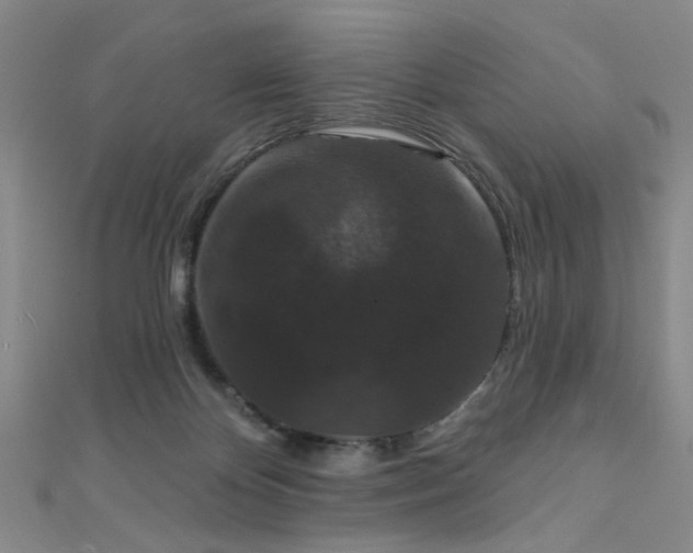 X0000111590124200907161501