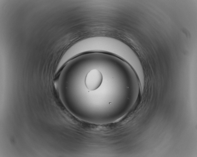 X0000111590125200907161501