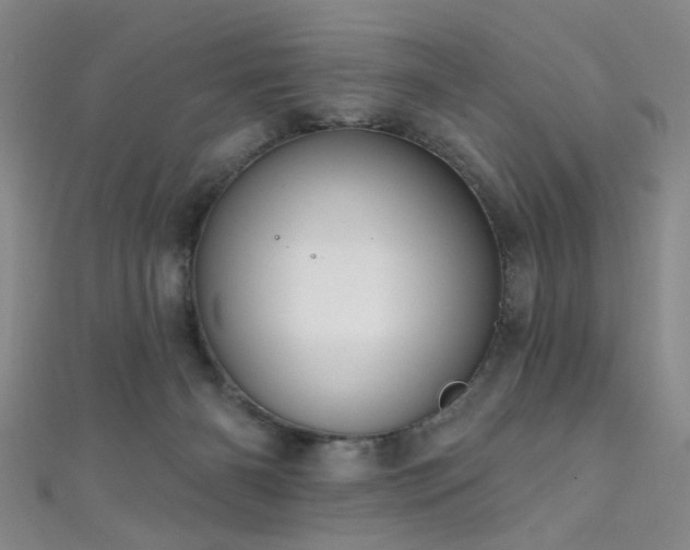 X0000111590126200907161501