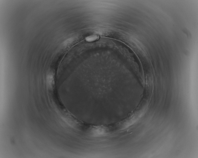 X0000111590127200907161501