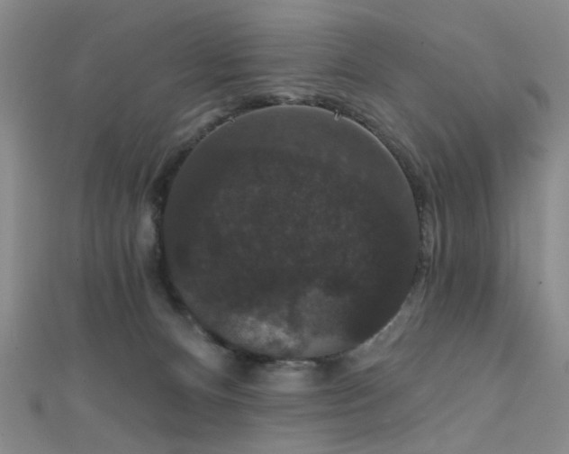 X0000111590128200907161501