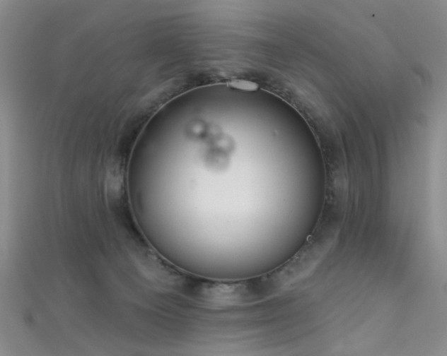 X0000111590129200907161501