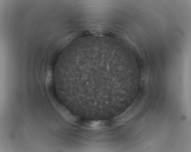 X0000111590130200907161501