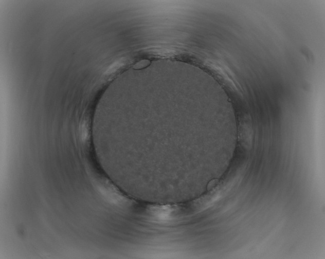 X0000111590131200907161501