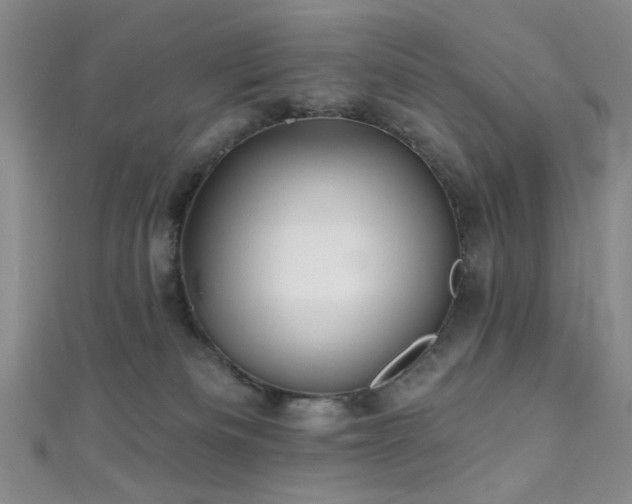 X0000111590133200907161501