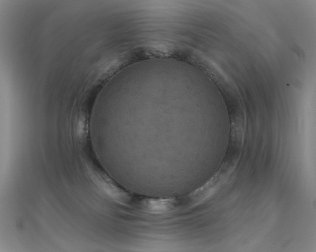 X0000111590134200907161501