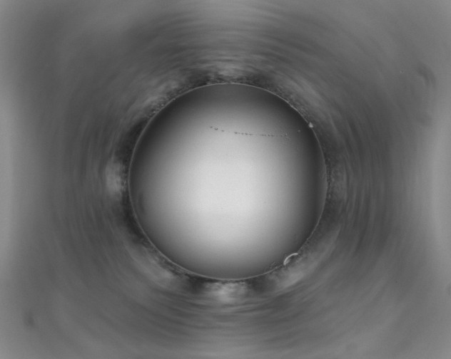 X0000111590135200907161501