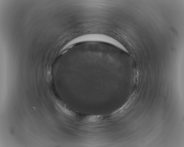 X0000111590136200907161501