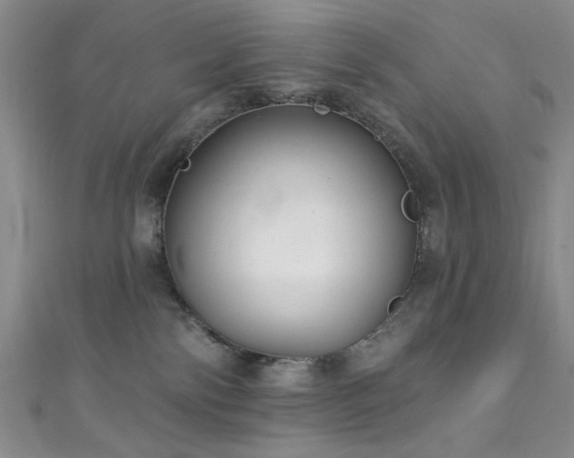 X0000111590138200907161501