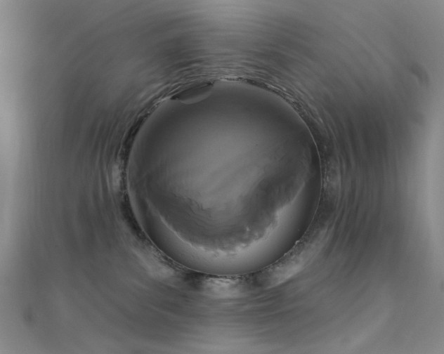 X0000111590139200907161501