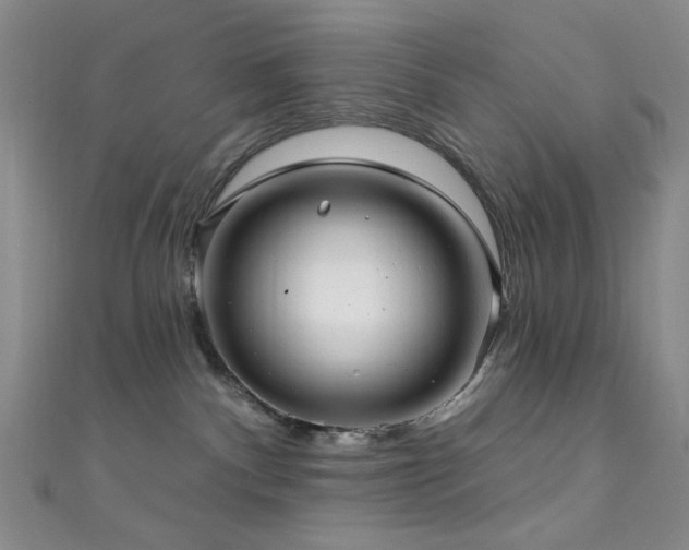 X0000111590140200907161501