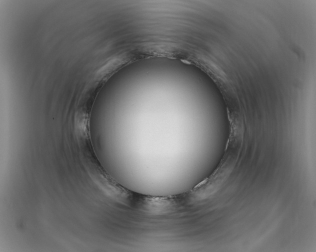 X0000111590141200907161501