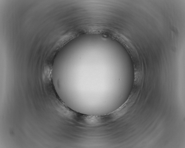 X0000111590142200907161501