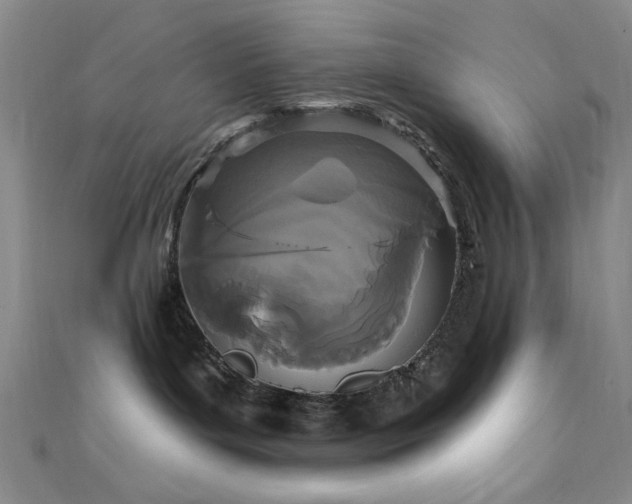 X0000111590143200907161501