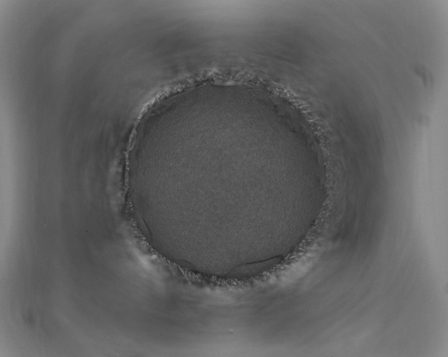 X0000111590144200907161501