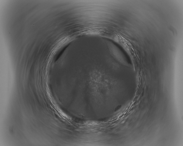 X0000111590145200907161500