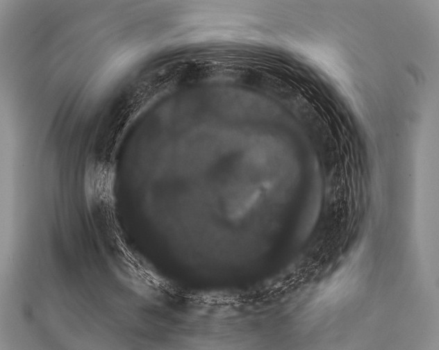 X0000111590146200907161500