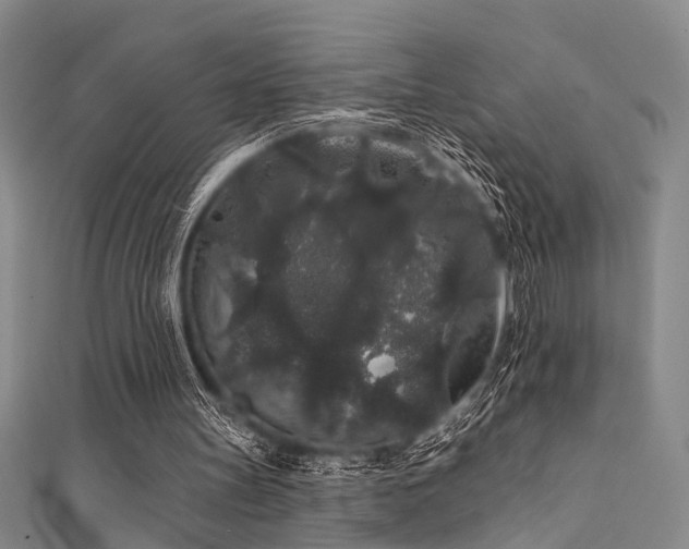 X0000111590147200907161500