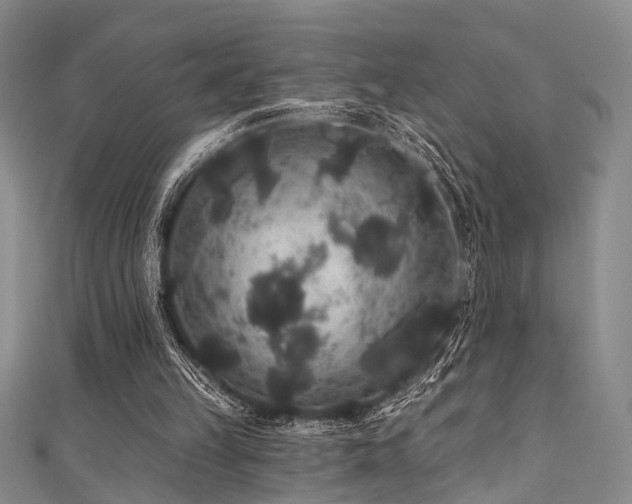 X0000111590149200907161500