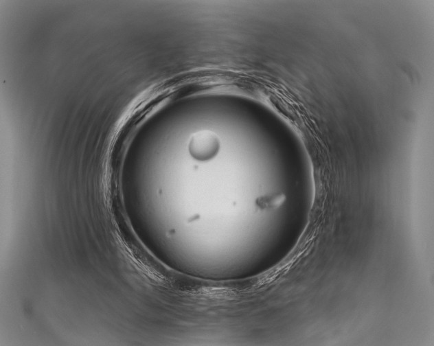 X0000111590150200907161500