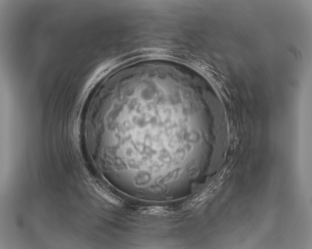 X0000111590151200907161500