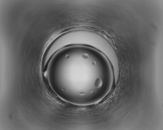 X0000111590152200907161500