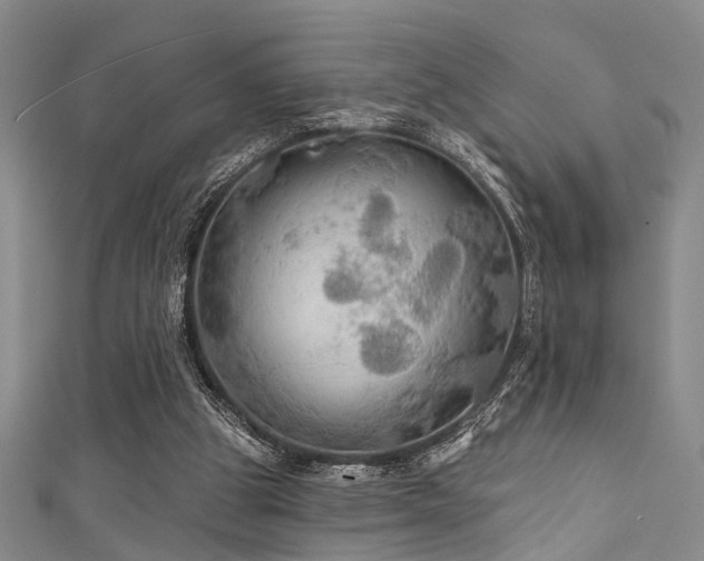 X0000111590153200907161500