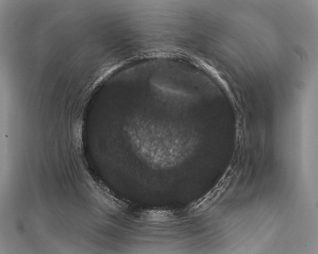 X0000111590154200907161500