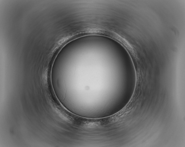 X0000111590155200907161500