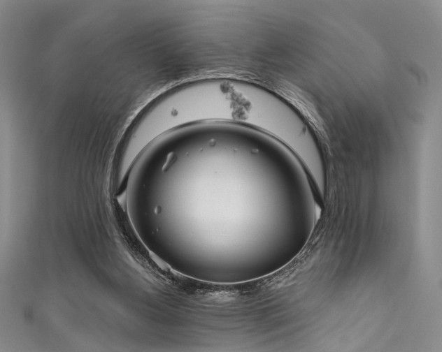 X0000111590156200907161500