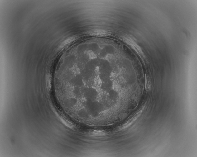 X0000111590157200907161500