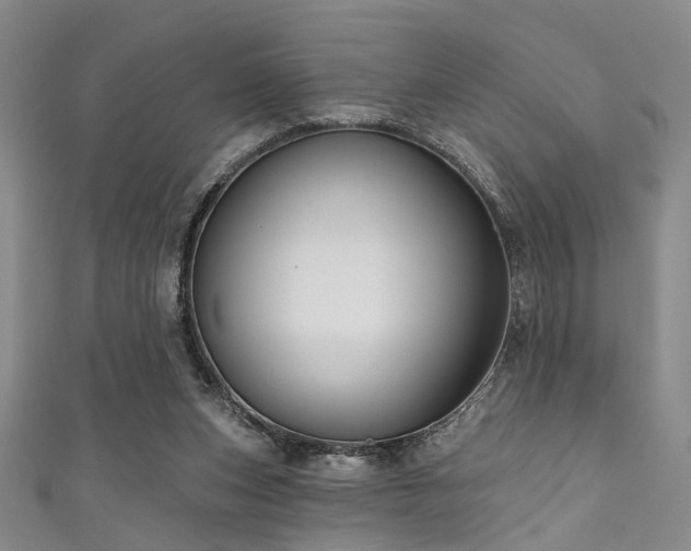 X0000111590159200907161500